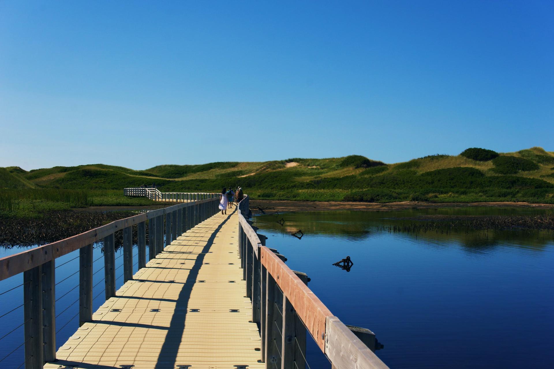 A boardwalk crossing calm water toward open grassland.