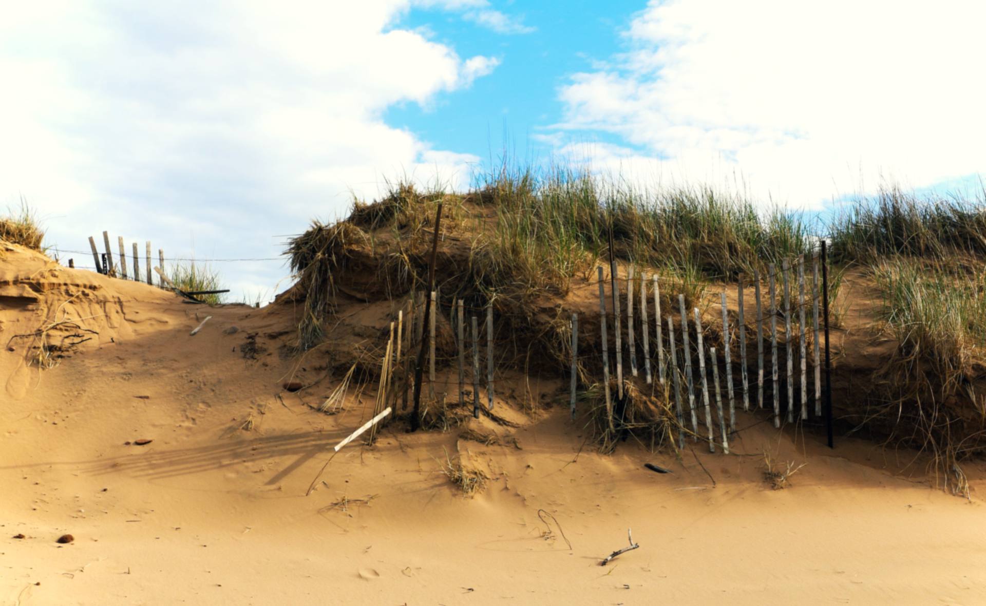Sand dunes and weathered fencing along a north-shore beach.
